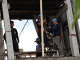 scout1 (10)