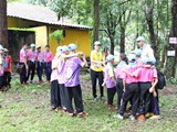 scout1 (100)