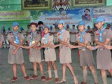 scout1 (142)