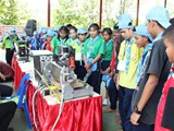 scout1 (202)