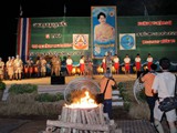 scout1 (28)