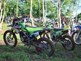 scout1 (35)