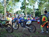scout1 (5)