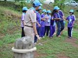 scout1 (59)